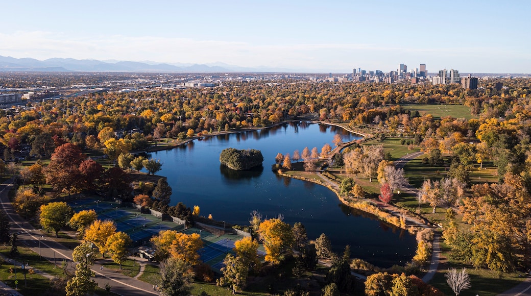 An aerial view of a city with a large lake surrounded by autumn-colored trees, a park, and a distant city skyline.
