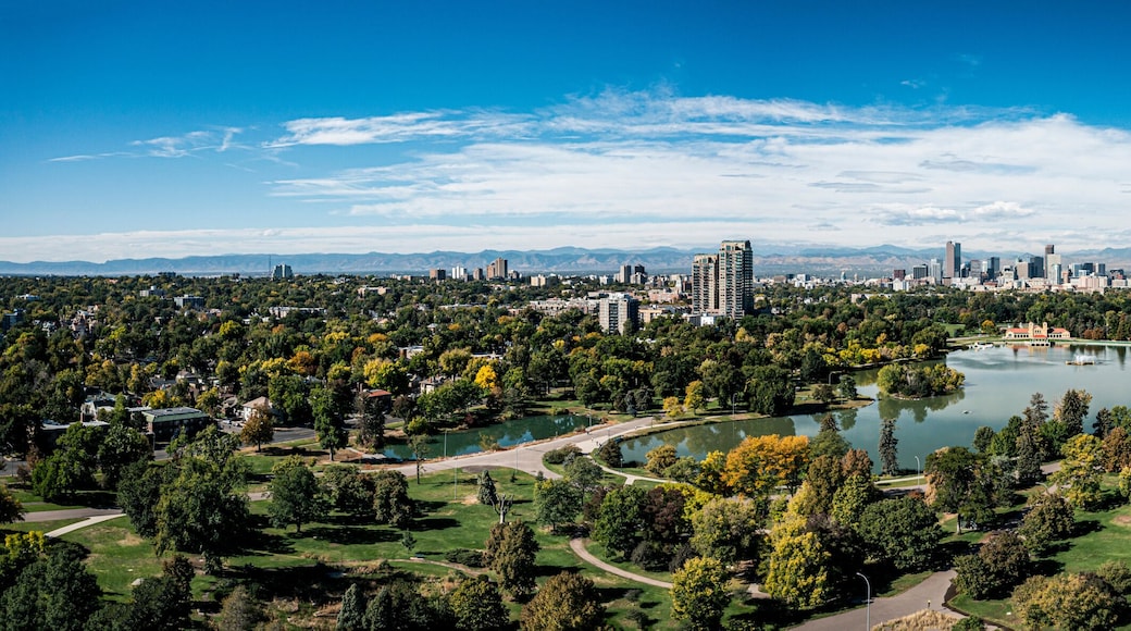 Central Park