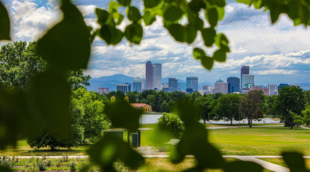 Downtown Denver Skyline Framed by Green Trees at City Park, Colorado