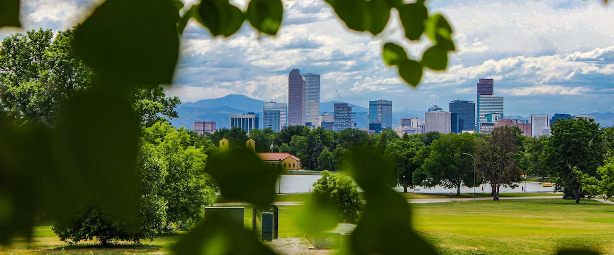 Downtown Denver Skyline Framed by Green Trees at City Park, Colorado