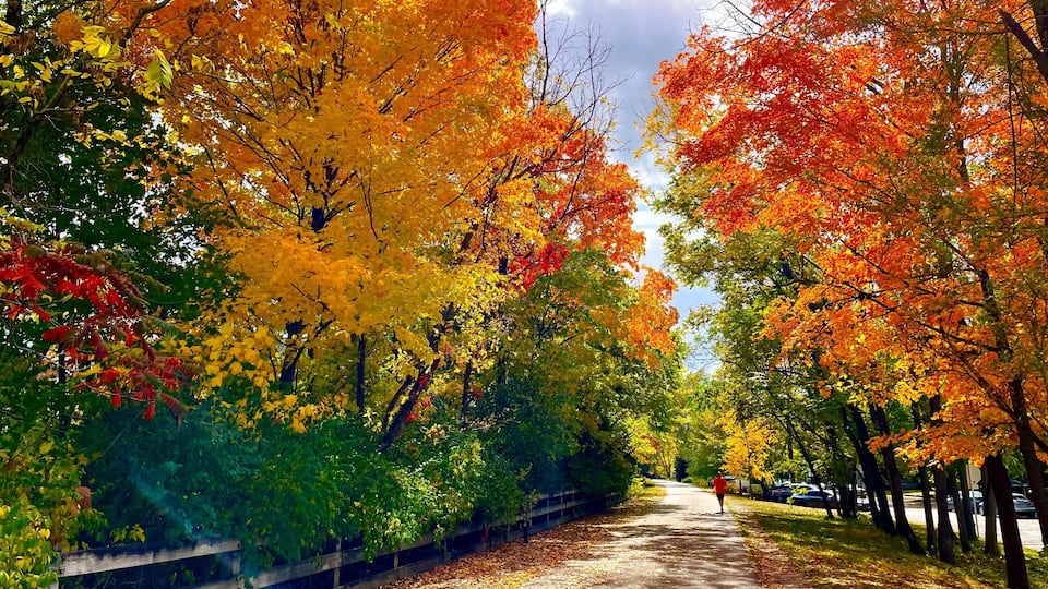 Monon Trail in Broad Ripple, Indianapolis, Indiana - Fall 2022