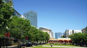 Midtown Park in the North Hills development of Raleigh NC