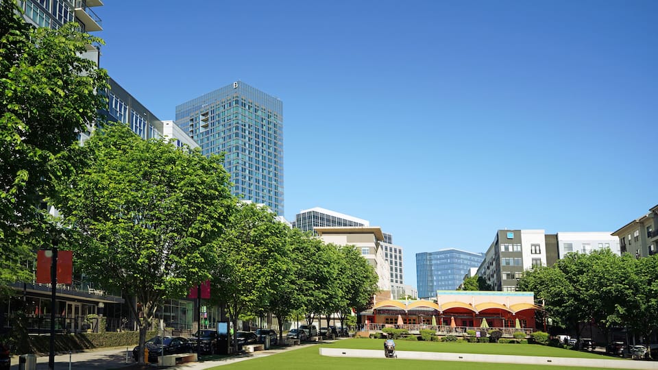 Midtown Park in the North Hills development of Raleigh NC