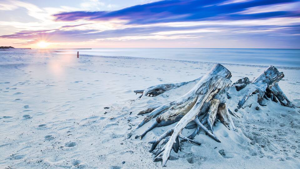 Driftwood on a beach in Ustka, Baltic Sea, Poland