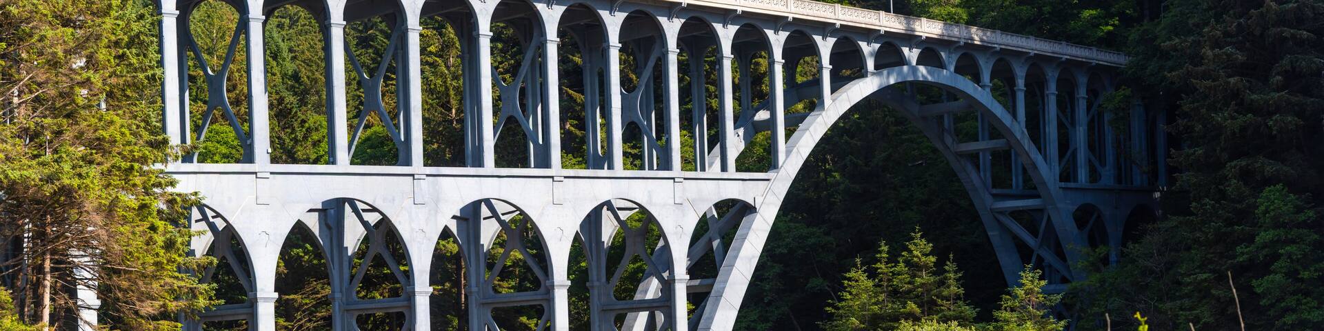 The Cape Creek Bridge is an arch bridge in Lane County, Oregon.