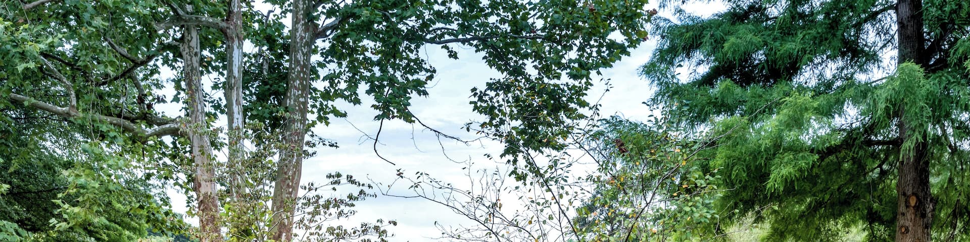 Atlanta_Cumberland_553248635074842832_0007