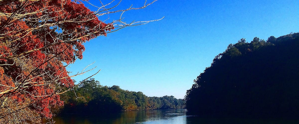 Just off 285 near Sandy Springs, one can leave hustle and bustle of Atlanta and enter an oasis of the Chattahooche River and surrounding land. Perfect for a run, bike or walk.