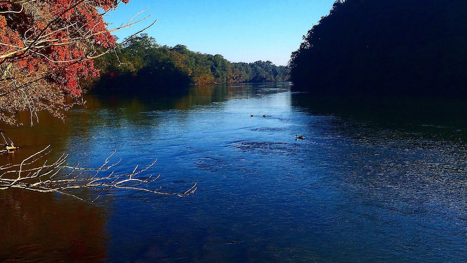 Just off 285 near Sandy Springs, one can leave hustle and bustle of Atlanta and enter an oasis of the Chattahooche River and surrounding land. Perfect for a run, bike or walk.