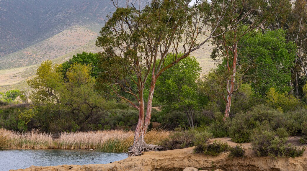 ๋ฌด๋ฆฌ์ํ ํซ ์คํ๋ง์ค