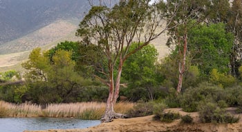 Murrieta Hot Springs
