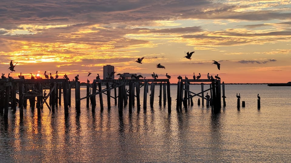 A pier with birds flying overhead during sunset.