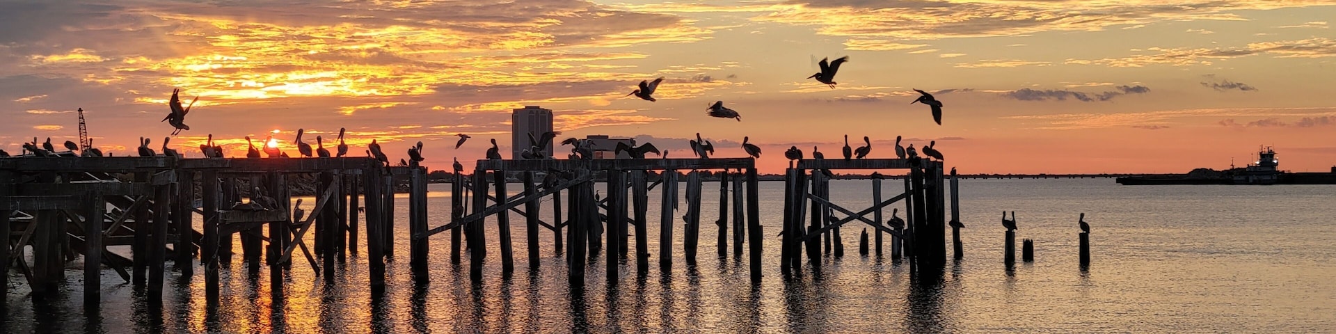 A pier with birds flying overhead during sunset.