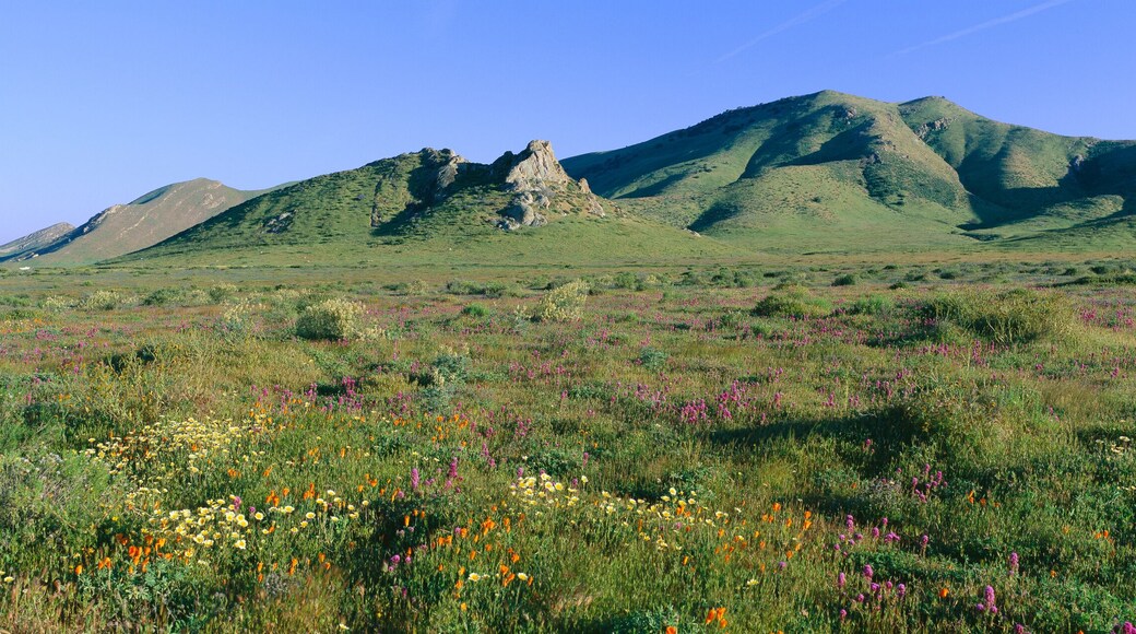 Condado de San Luis Obispo