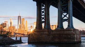 Dumbo which includes a bay or harbor, a bridge and a city