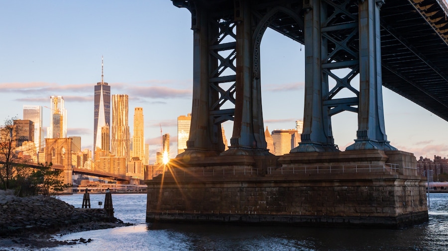 Dumbo which includes a bay or harbor, a bridge and a city
