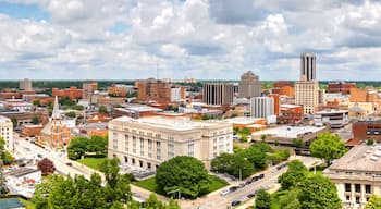 Downtown Springfield