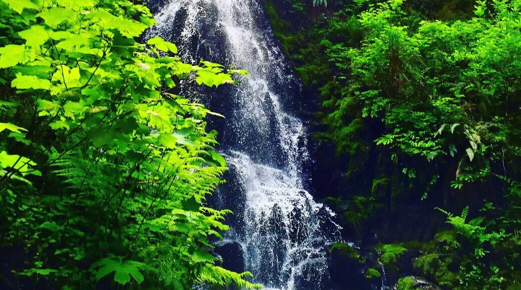 Hard work is worth it. #green #lifeatexpedia