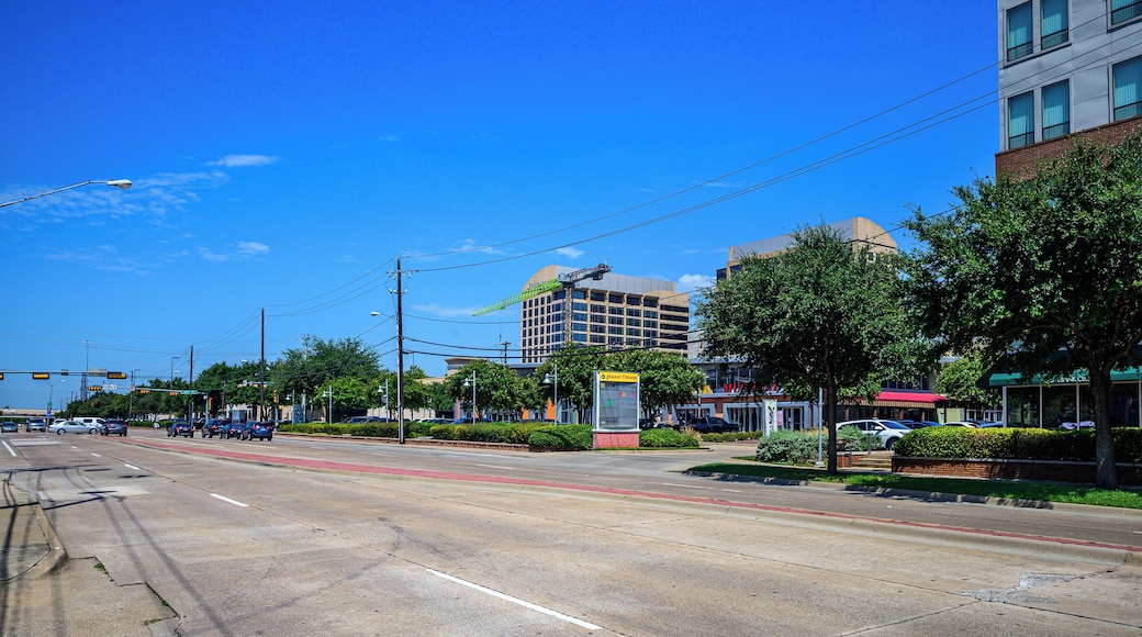 ํ ๋
ธ์ค ๋๋ฌ์ค