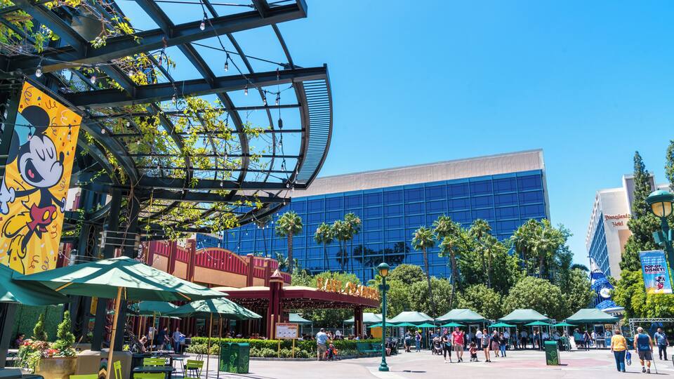 Anaheim_AnaheimResort_553248635074843122_06
