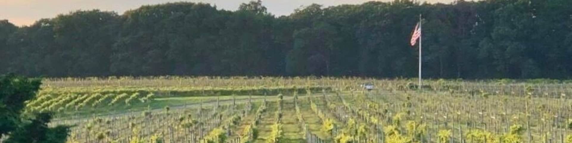 Watercolor light over the vines. Beautiful winery offers tastings, Fall festivals, movie nights, fireworks fire pits & charity runs through the vines. Also has a Inn to stay over. NJ Summer fruit wines are wonderful. Several wineries nearby as well as a farm beer brewery.