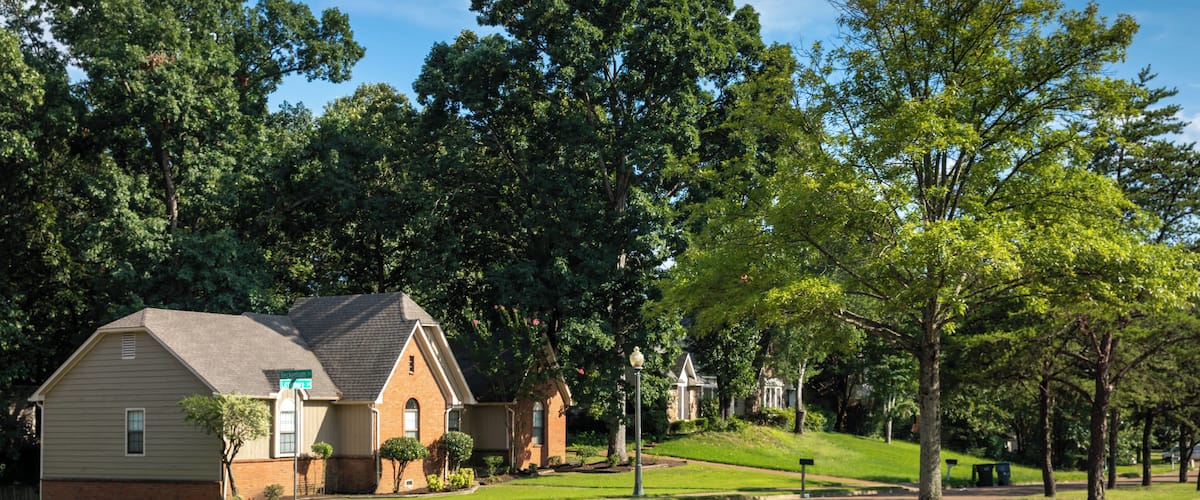 Memphis_Wolfchase_553248635074843171-1