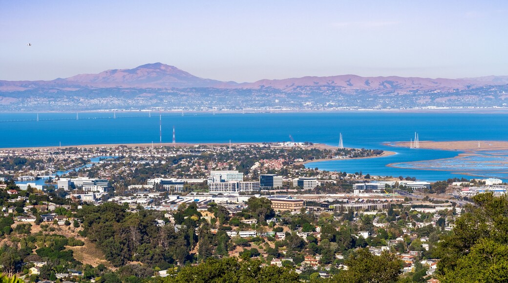 Redwood Shores