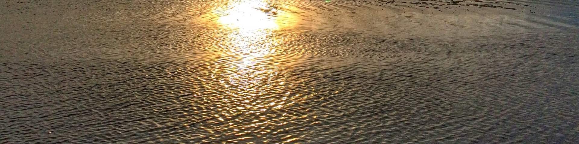 With the sun setting and low tide, it gives the appearance of #beach -combers walking on water, rather than wet sand. If you are craving the adorable cottage by the sea, this is the place to be!
#goldenhour
#waterlust
http://www.seabrookcottagerentals.com
Feb. 2015