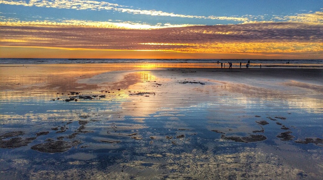Sunset on the #beach at low tide with a beautiful reflection on the wet sand.
#goldenhour
http://www.seabrookcottagerentals.com
Feb. 2015