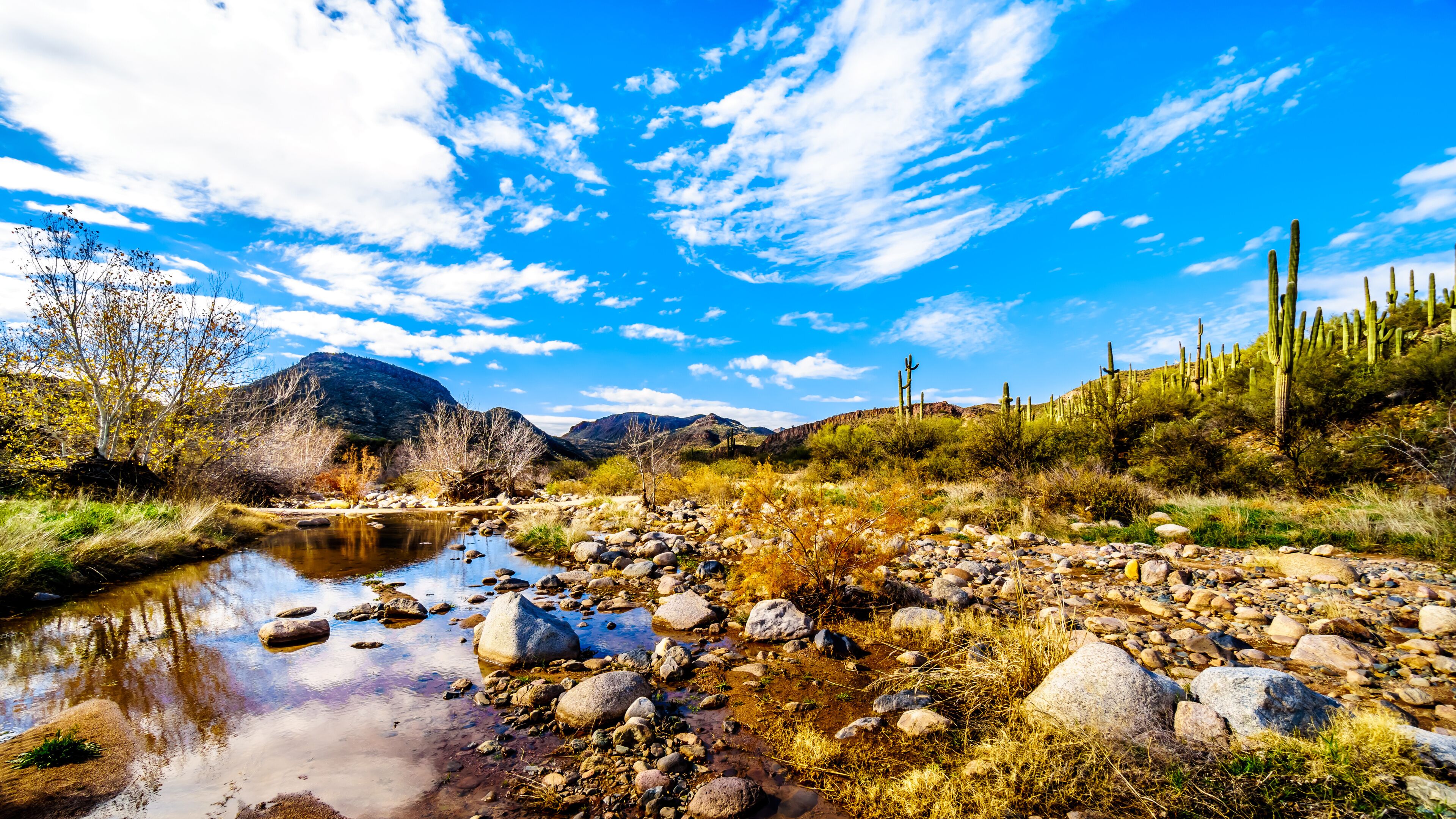 The almost dry Sycamore Creek in the McDowell Mountain Range in Northern Arizona at the Log Coral Wash Exit of Arizona SR87