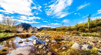The almost dry Sycamore Creek in the McDowell Mountain Range in Northern Arizona at the Log Coral Wash Exit of Arizona SR87
