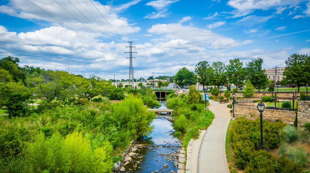 ์๊ฑฐ ํฌ๋ฆฌํฌ