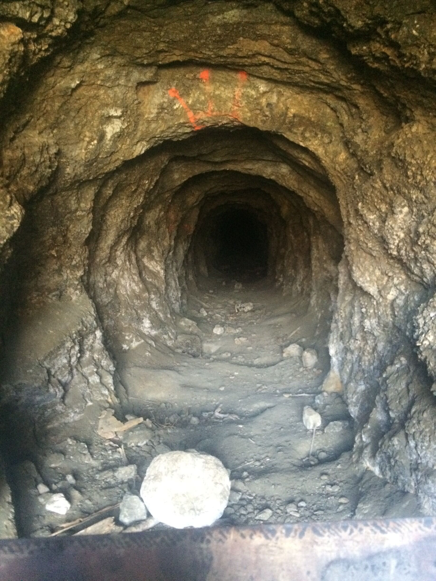 Looking past the metal bars blocking the mine's entrance. 