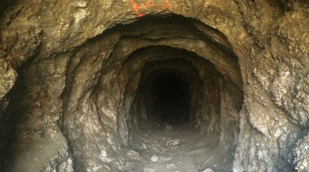 Looking past the metal bars blocking the mine's entrance.