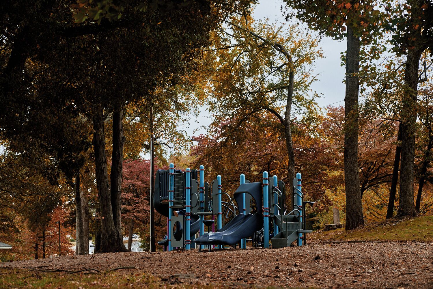 Ponderosa – Wingate