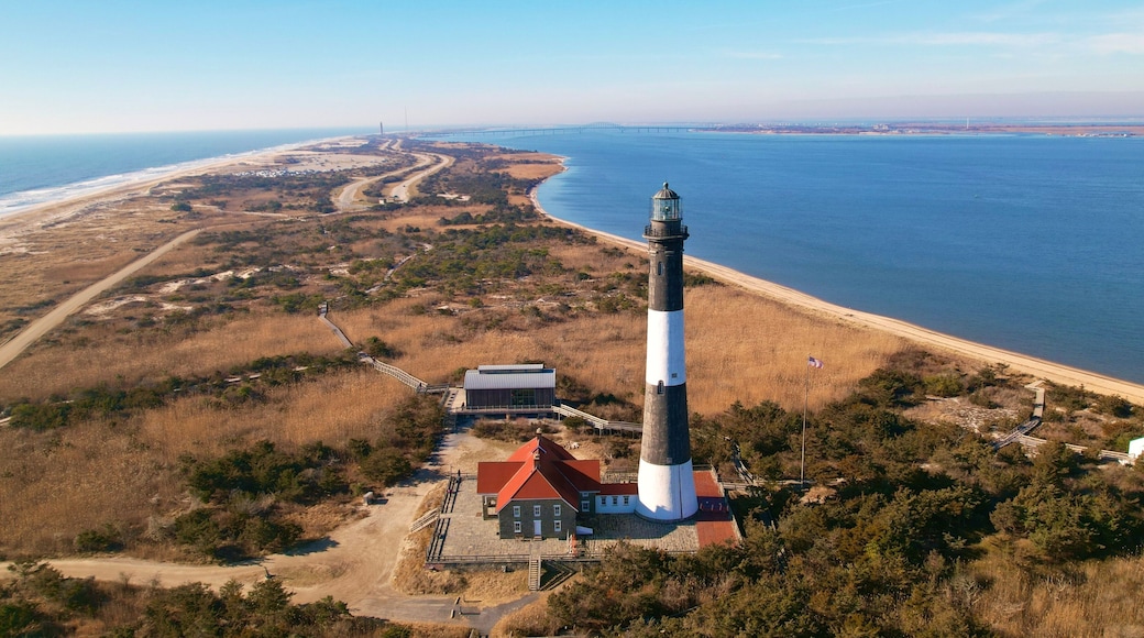 火島松林
