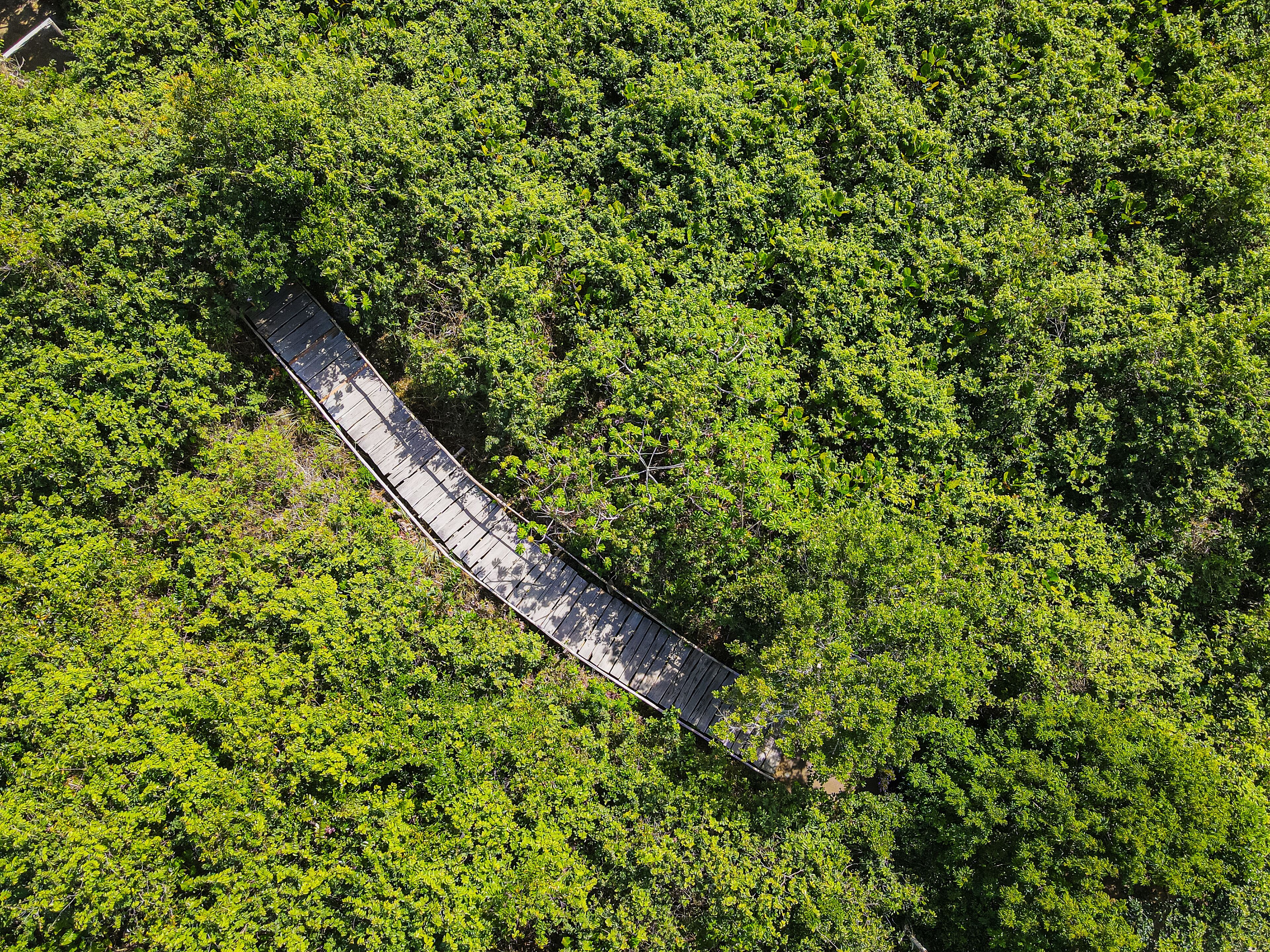 Trilha para a vila velha, as dunas e a praia. Aldeia de Itaúnas no norte do estado do Espírito Santo. Litoral do Brasil próximo à Bahia.