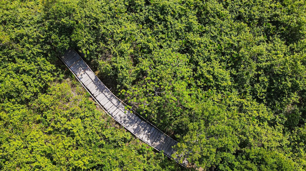 Trilha para a vila velha, as dunas e a praia. Aldeia de Itaúnas no norte do estado do Espírito Santo. Litoral do Brasil próximo à Bahia.