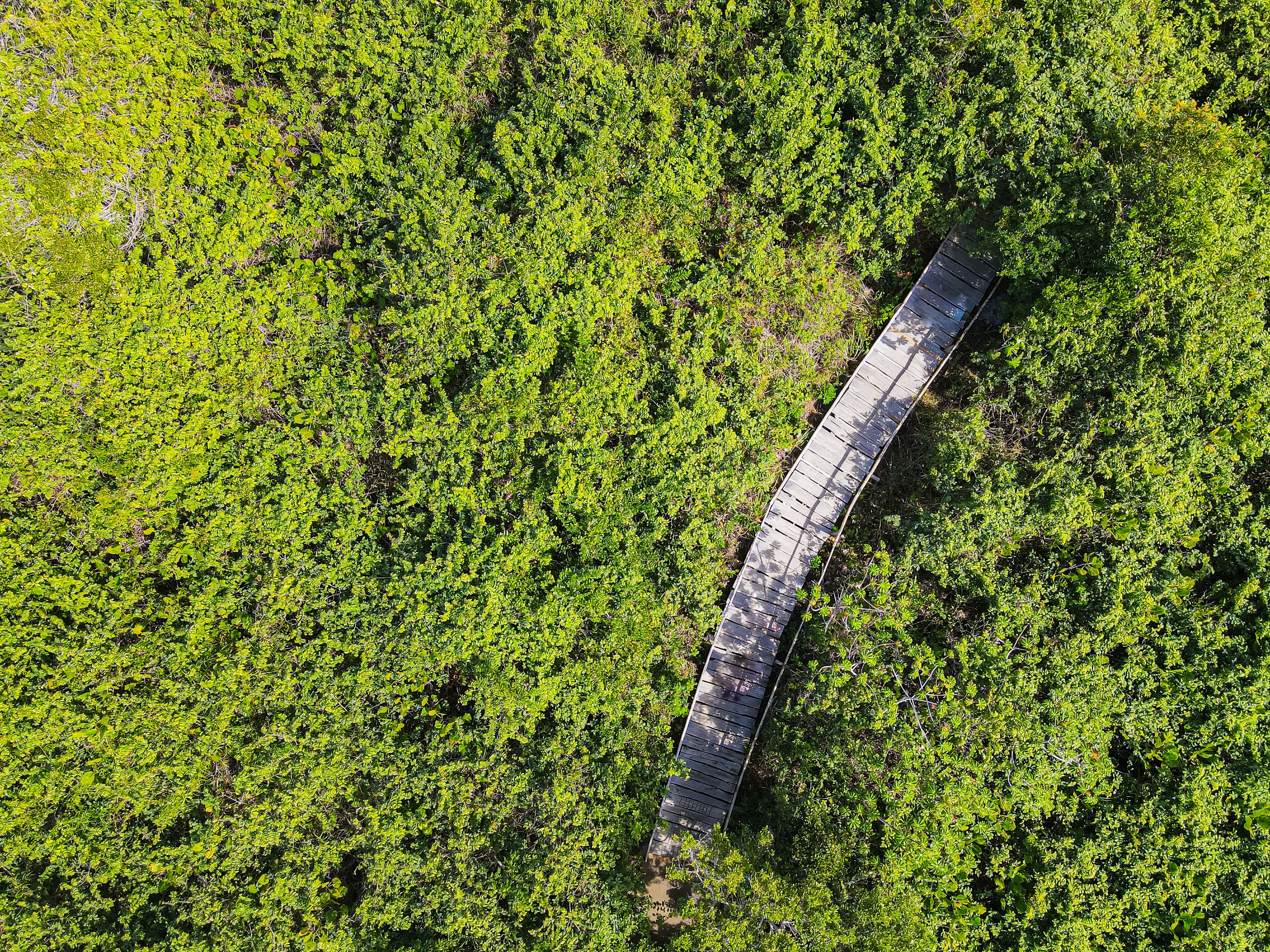 Trilha para a vila velha, as dunas e a praia. Aldeia de Itaúnas no norte do estado do Espírito Santo. Litoral do Brasil próximo à Bahia.