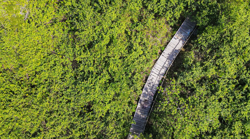 Trilha para a vila velha, as dunas e a praia. Aldeia de Itaúnas no norte do estado do Espírito Santo. Litoral do Brasil próximo à Bahia.