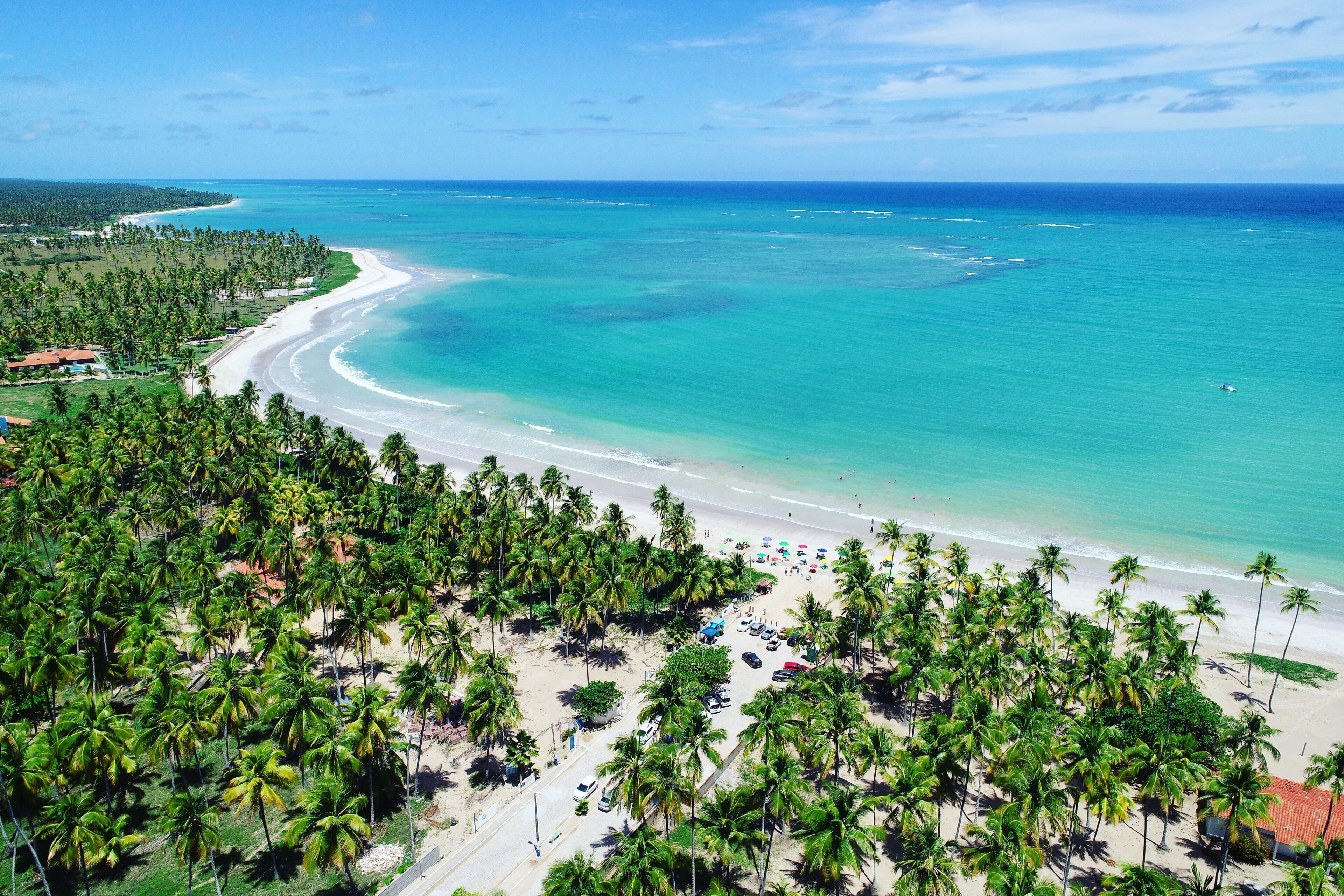 A tropical beach with clear turquoise waters, palm trees, and a curved shoreline.
