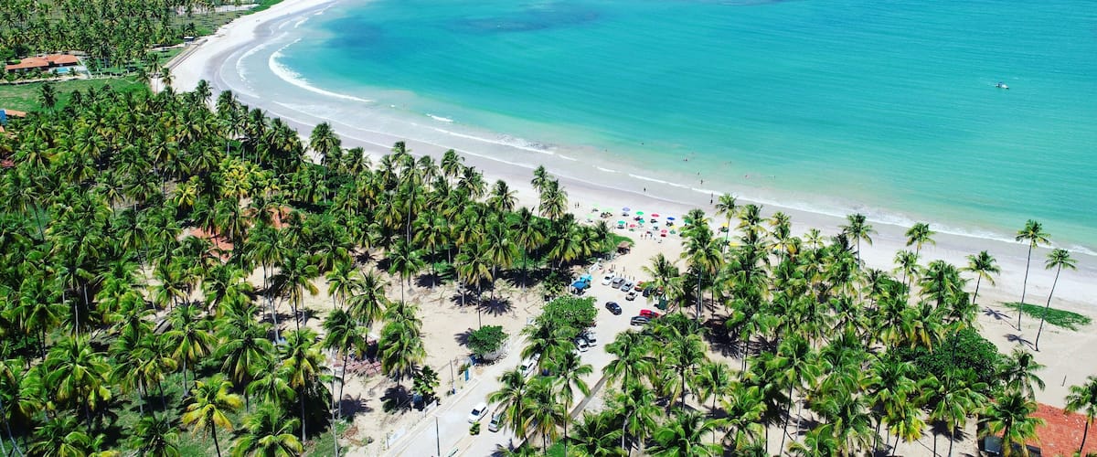 A tropical beach with clear turquoise waters, palm trees, and a curved shoreline.