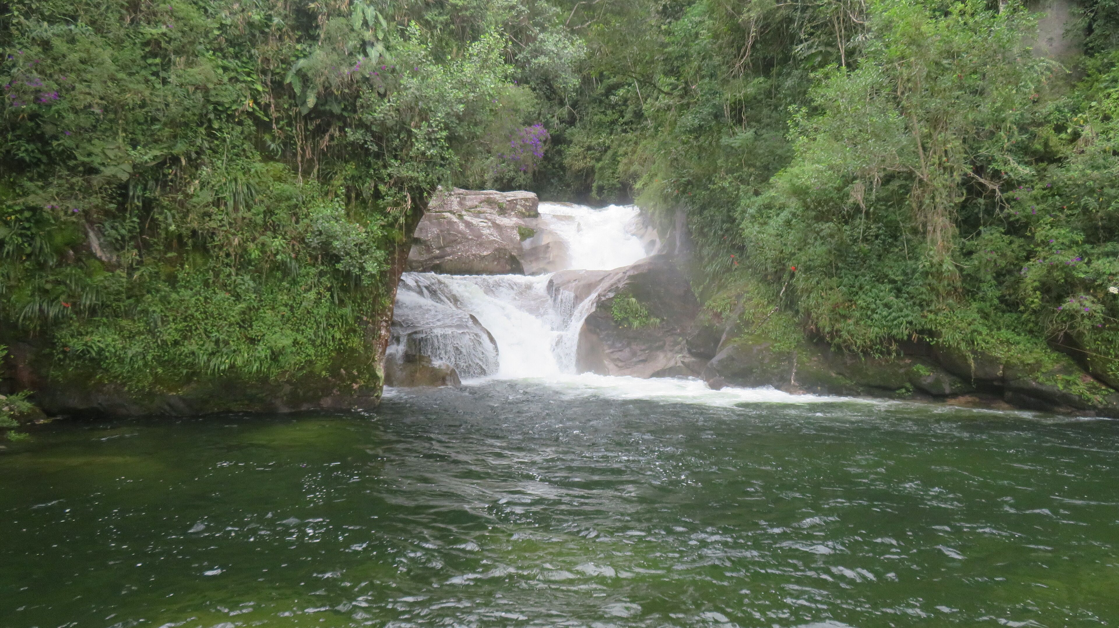 A waterfall cascading over rocks surrounded by dense green foliage.