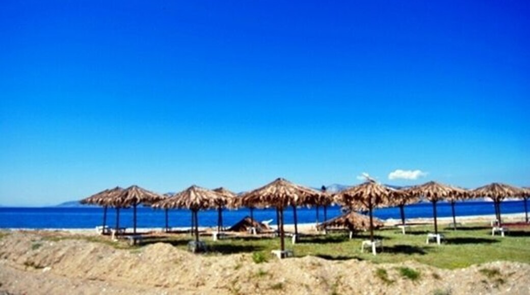 Pefki, in which grow many pines (as the name suggests) , lies in northern Evia and has been developed along a long beach. Pefki is about 114 km away from Chalkida. For years the area is known as a resort and is a very popular destination for family vacations. Pefki is highly developed, and along the beach you will find many restaurants and cafes.