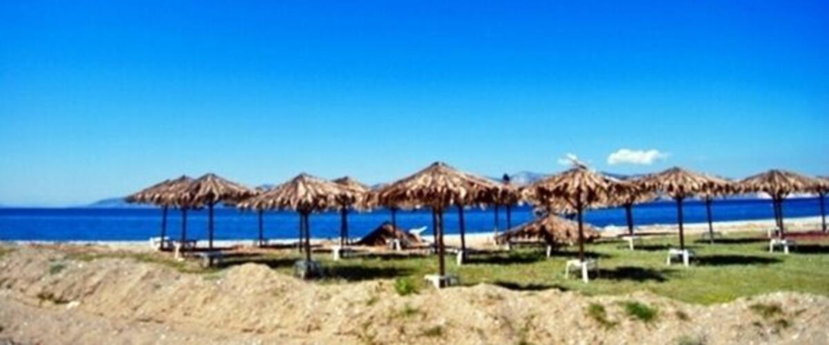 A beach with thatched umbrellas and a clear blue sky.
