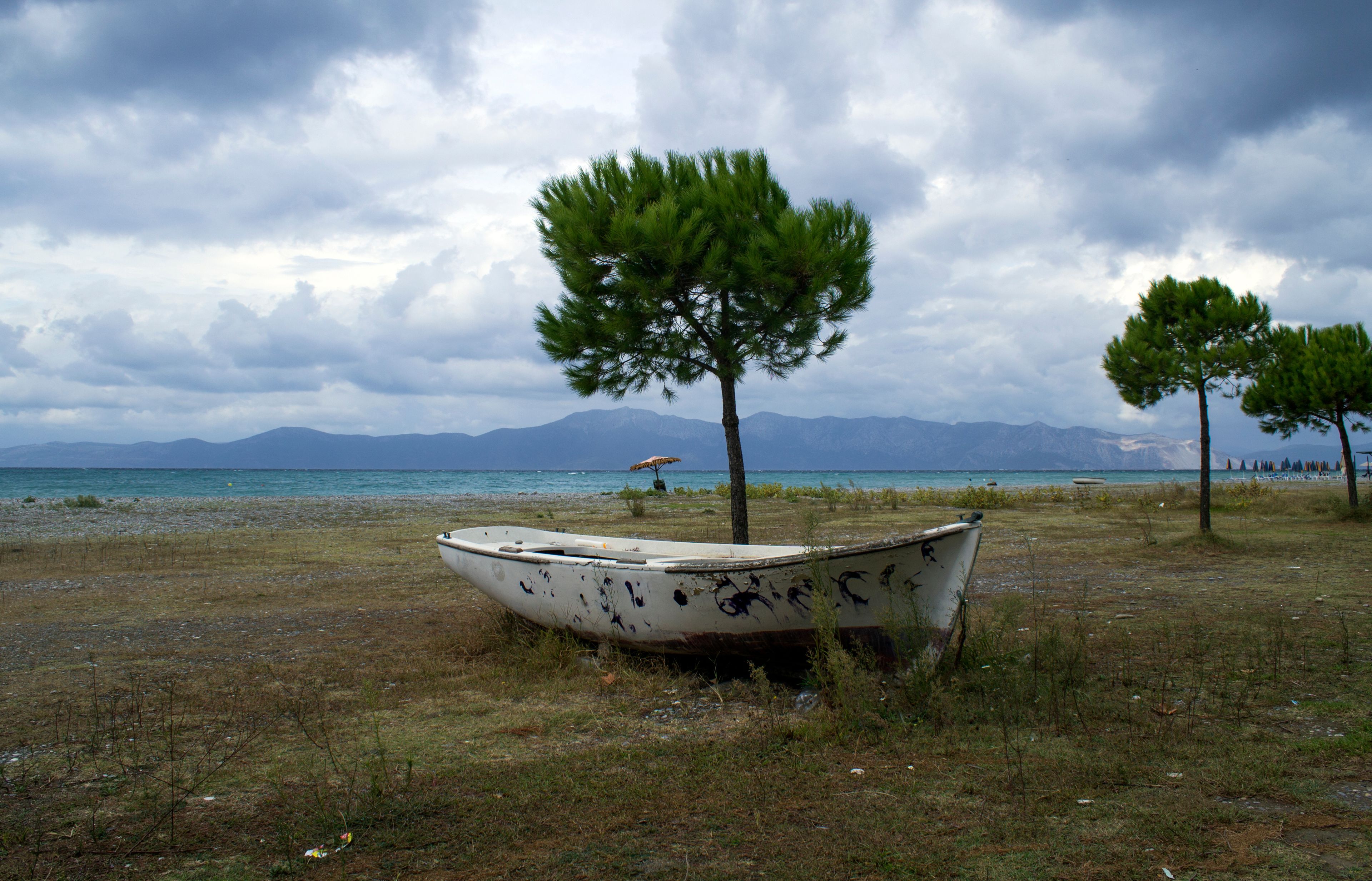 A beach with a small boat, a lone tree, and distant mountains under a cloudy sky.