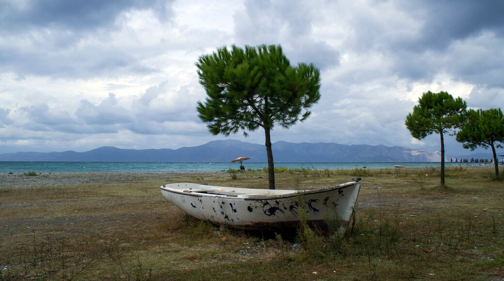 Ein Strand mit einem kleinen Boot, einem einzelnen Baum und fernen Bergen unter bewölktem Himmel.
