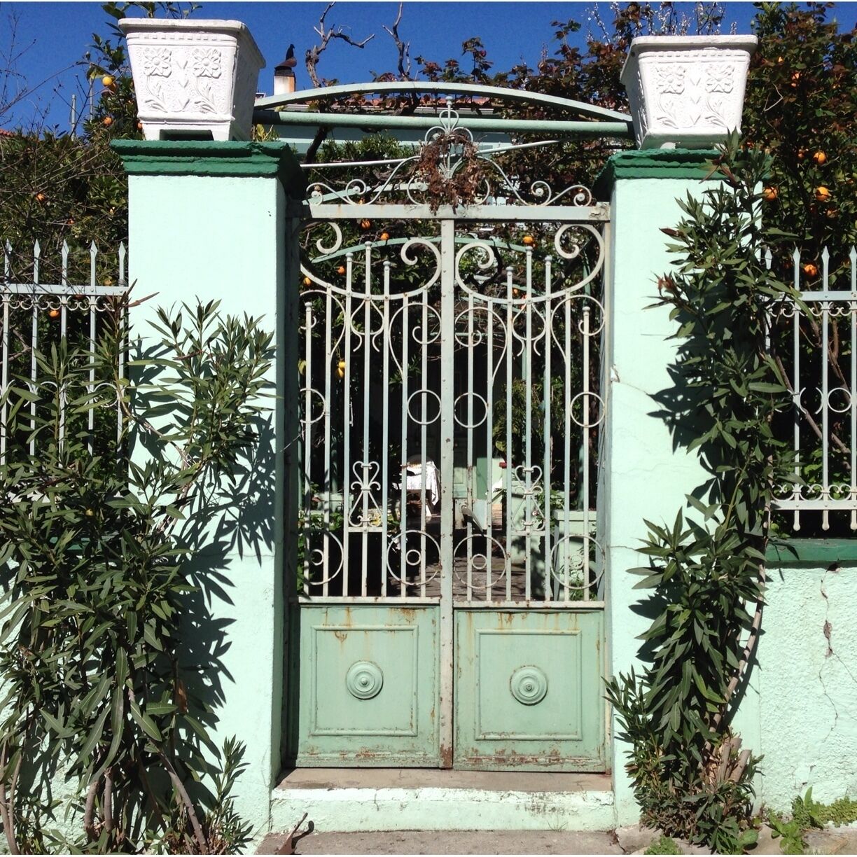 Typical house entrance that leads to a garden full of lemon & orange trees. 
