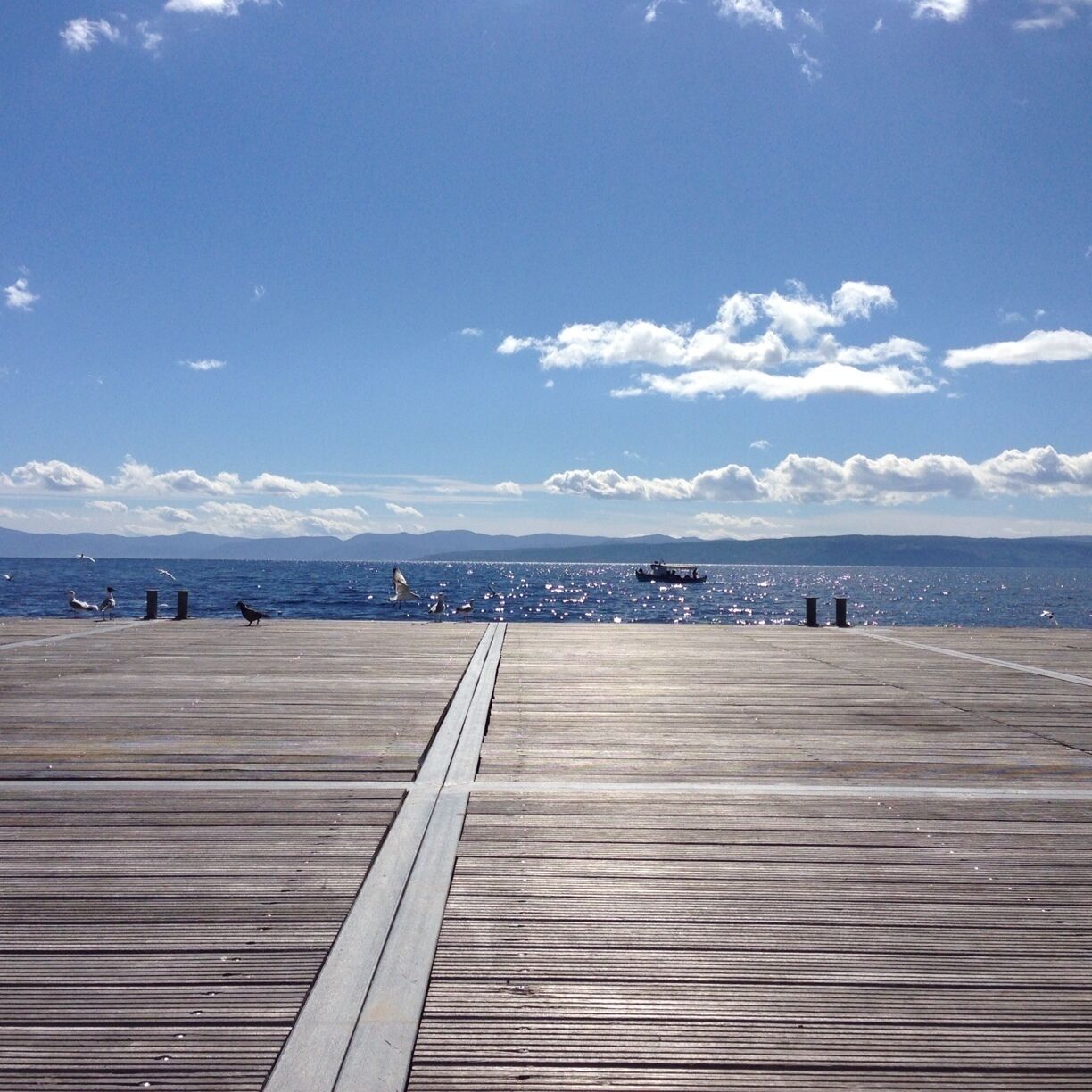 A wooden pier extending into a calm sea with birds flying overhead and mountains in the distance.