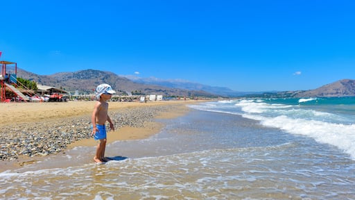 باراليا كورنا