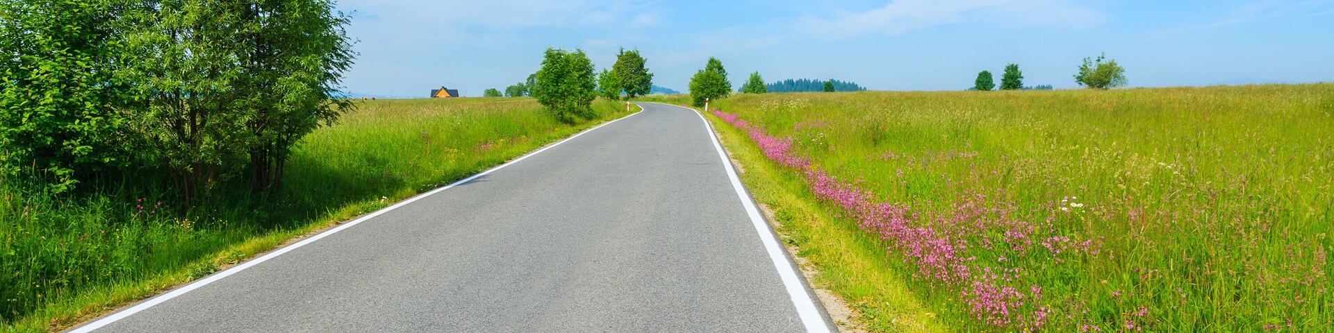 Road with flowers on green field in summer landscape, Szaflary, Tatra Mountains, Poland; Shutterstock ID 197421713